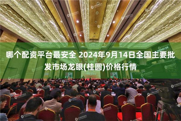 哪个配资平台最安全 2024年9月14日全国主要批发市场龙眼(桂圆)价格行情