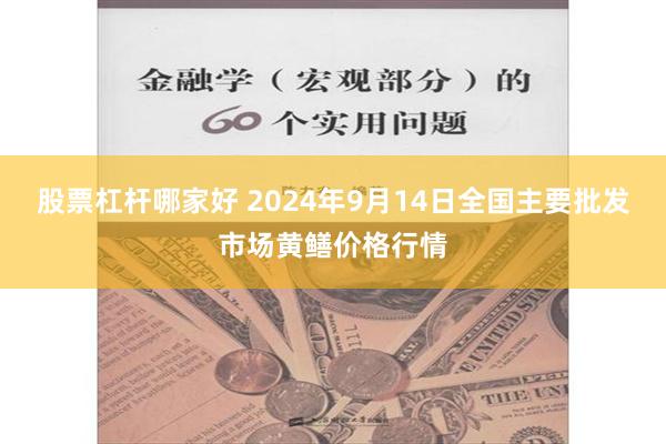 股票杠杆哪家好 2024年9月14日全国主要批发市场黄鳝价格行情