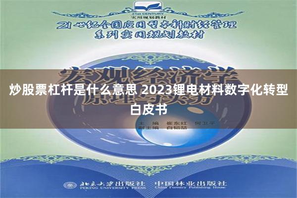 炒股票杠杆是什么意思 2023锂电材料数字化转型白皮书